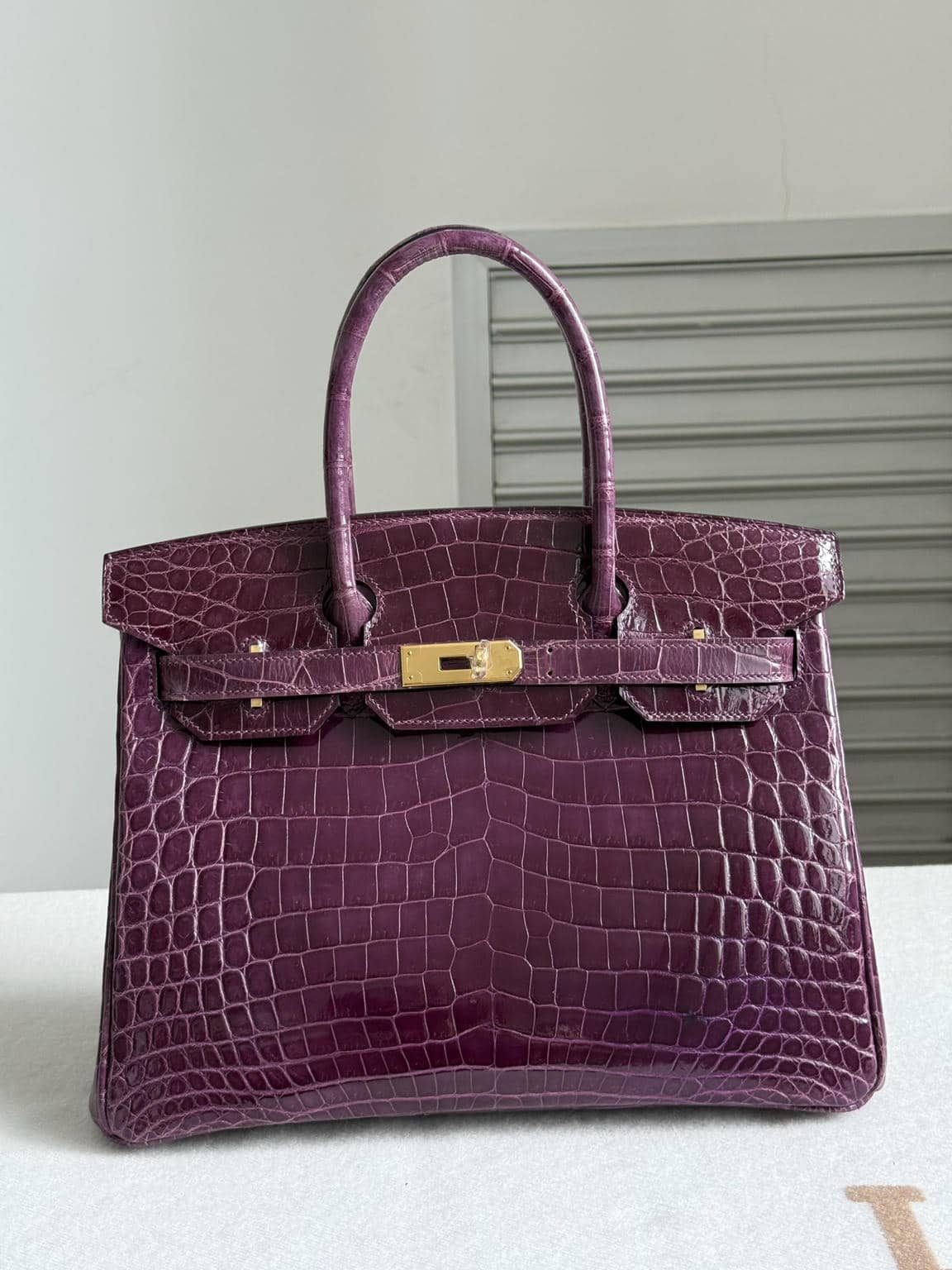 Birkin Exotic Leather-123